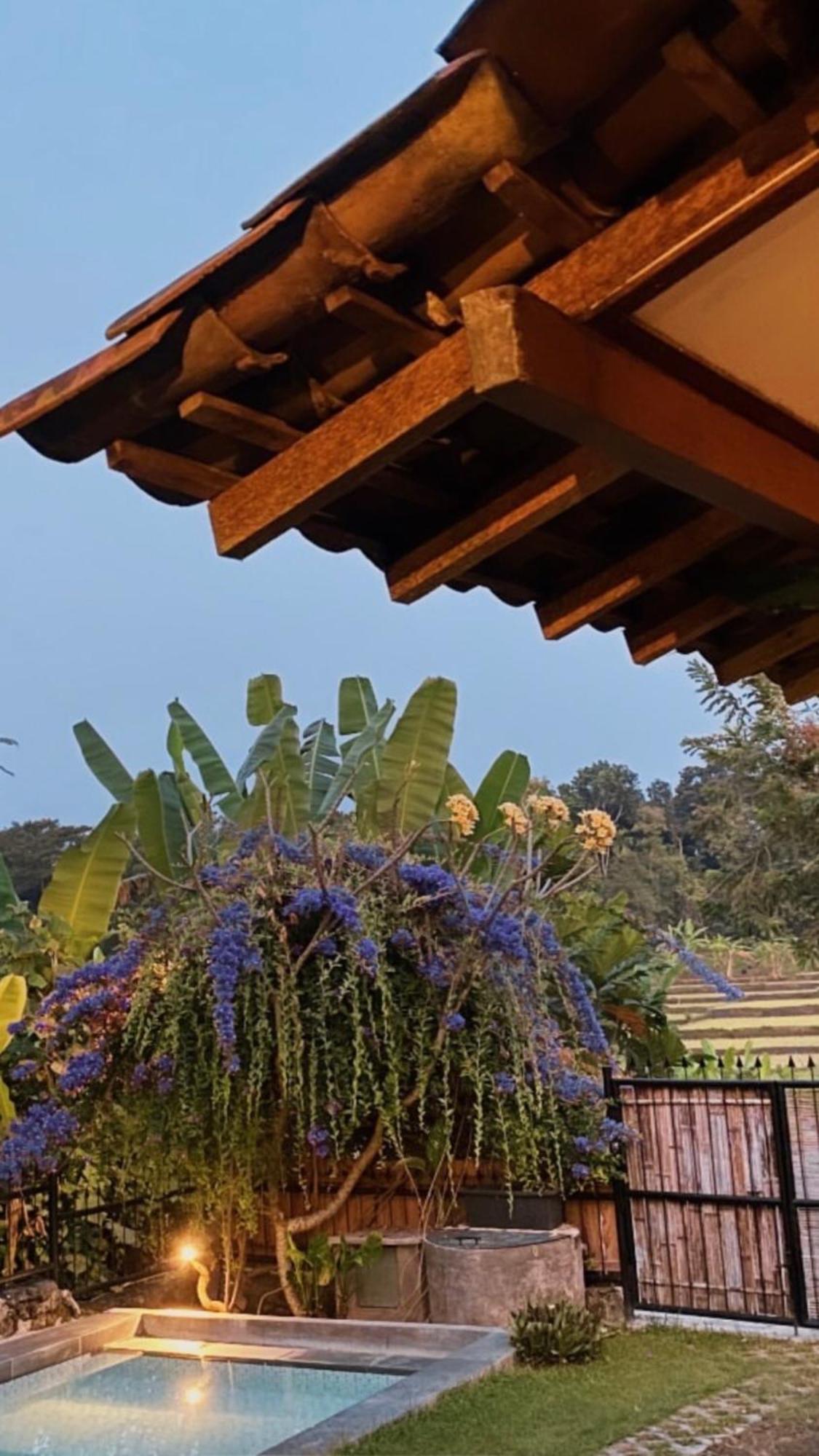Villa Nextdoor Nature Yogyakarta 반툴 외부 사진
