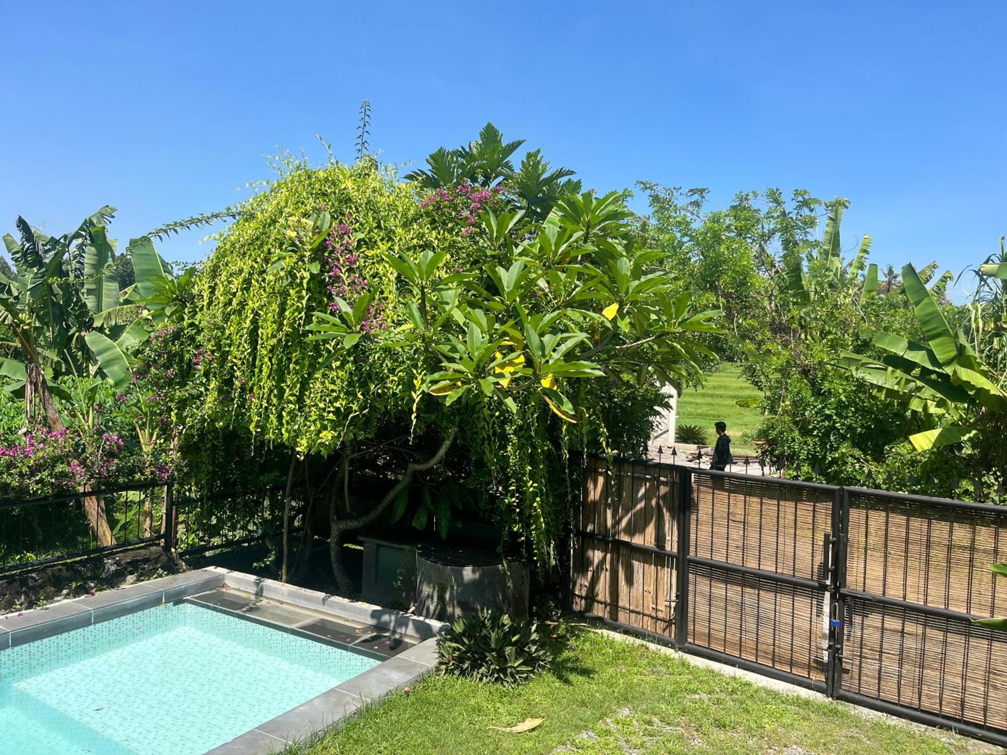 Villa Nextdoor Nature Yogyakarta 반툴 외부 사진